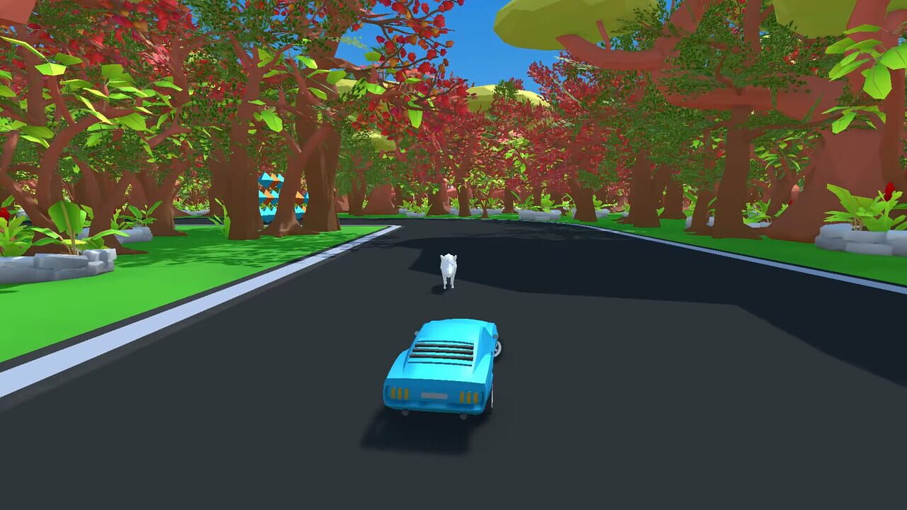 Colorace screenshot