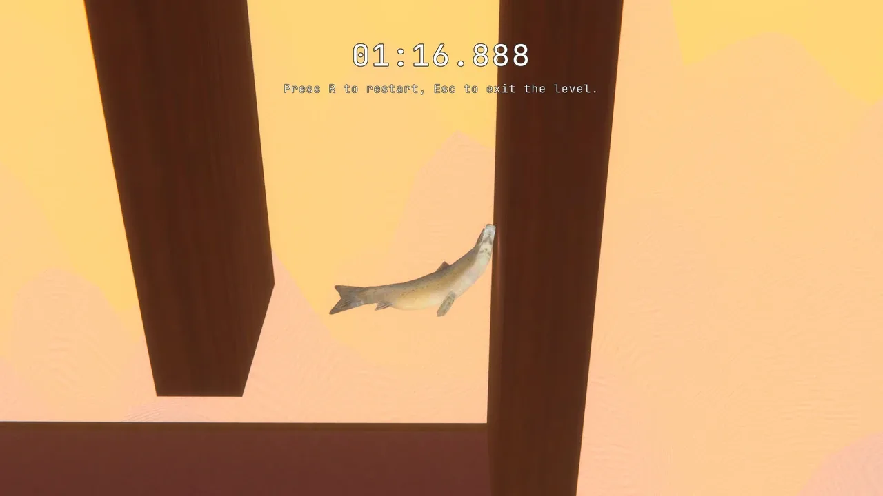 Salmon screenshot 2