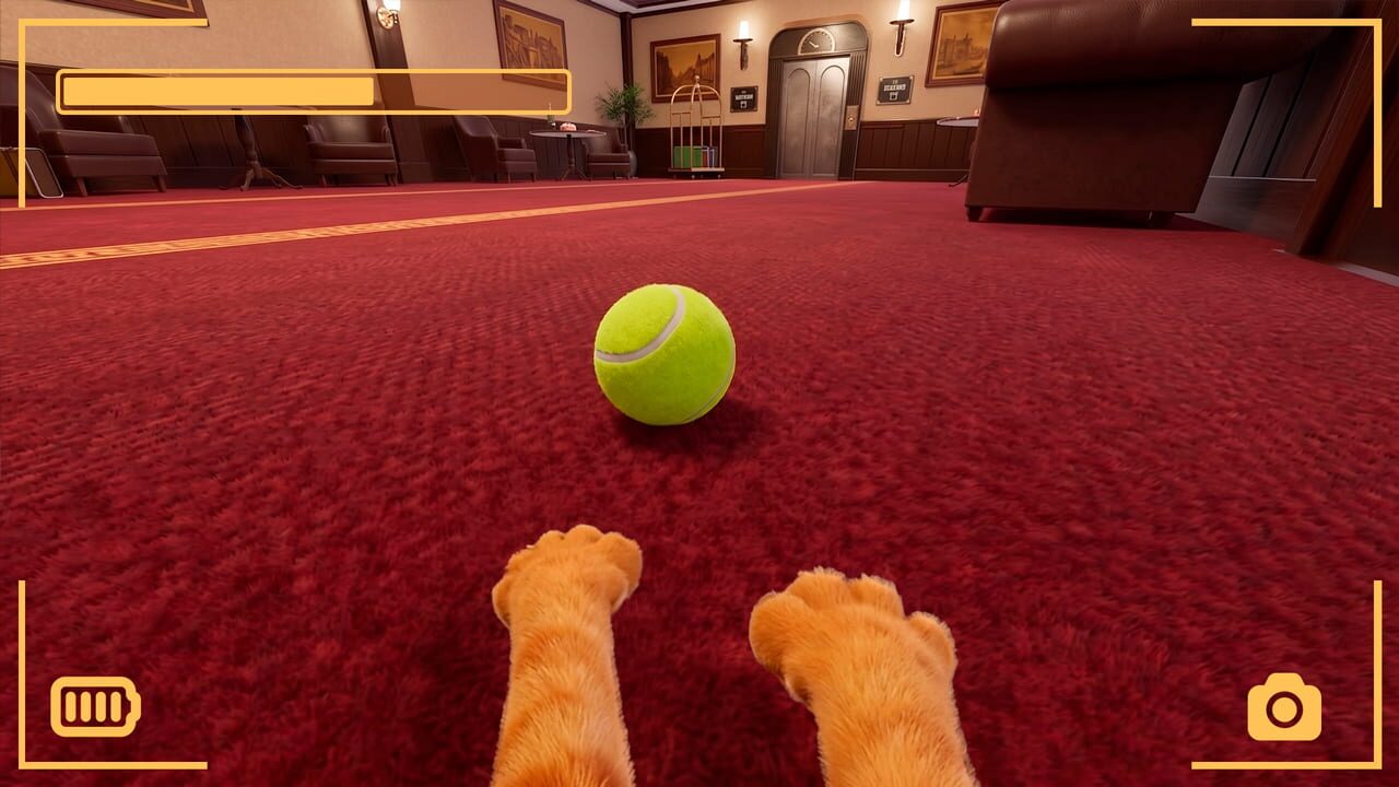 Strays POV Tales screenshot