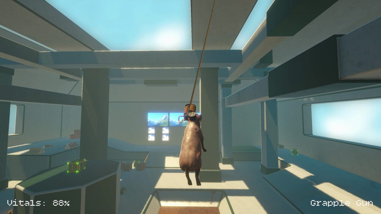 Pig King