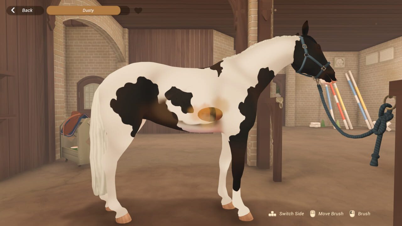 Fernhoof Grove: Riding Academy
