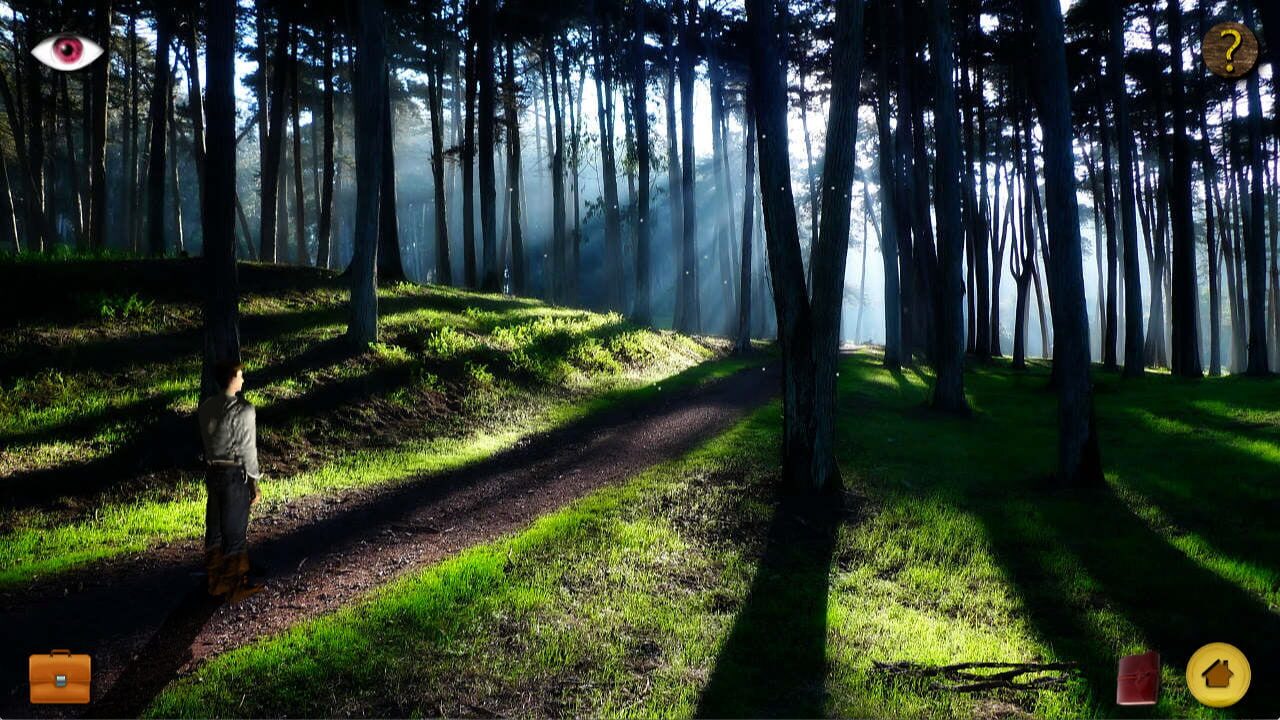 Lost in Paradise (2015)