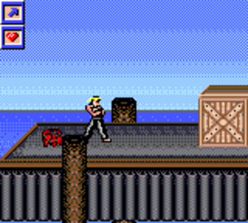 Surf Ninjas screenshot