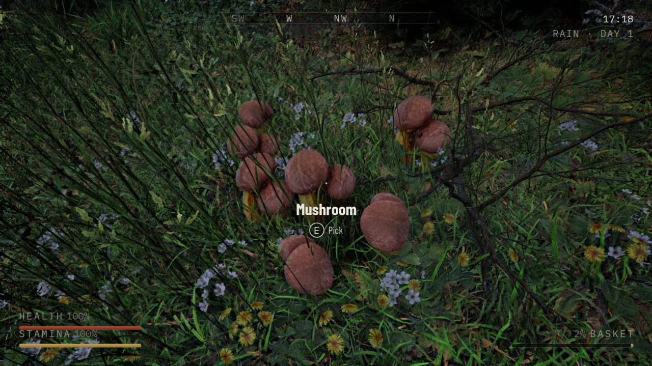 Holy Shroom! (2026)