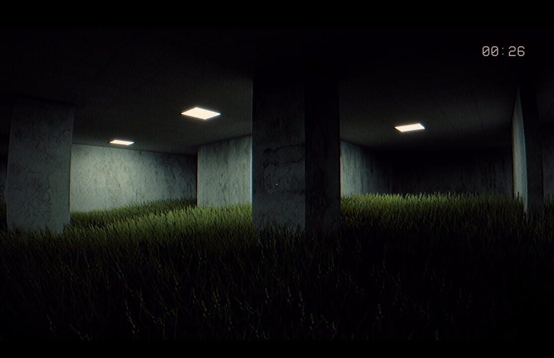 Backrooms Insane screenshot