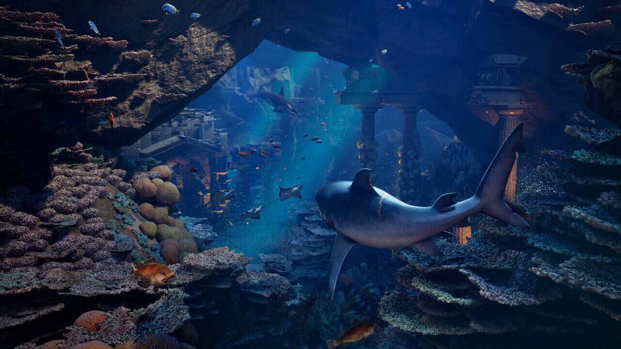 Screenshot of Maneater 2
