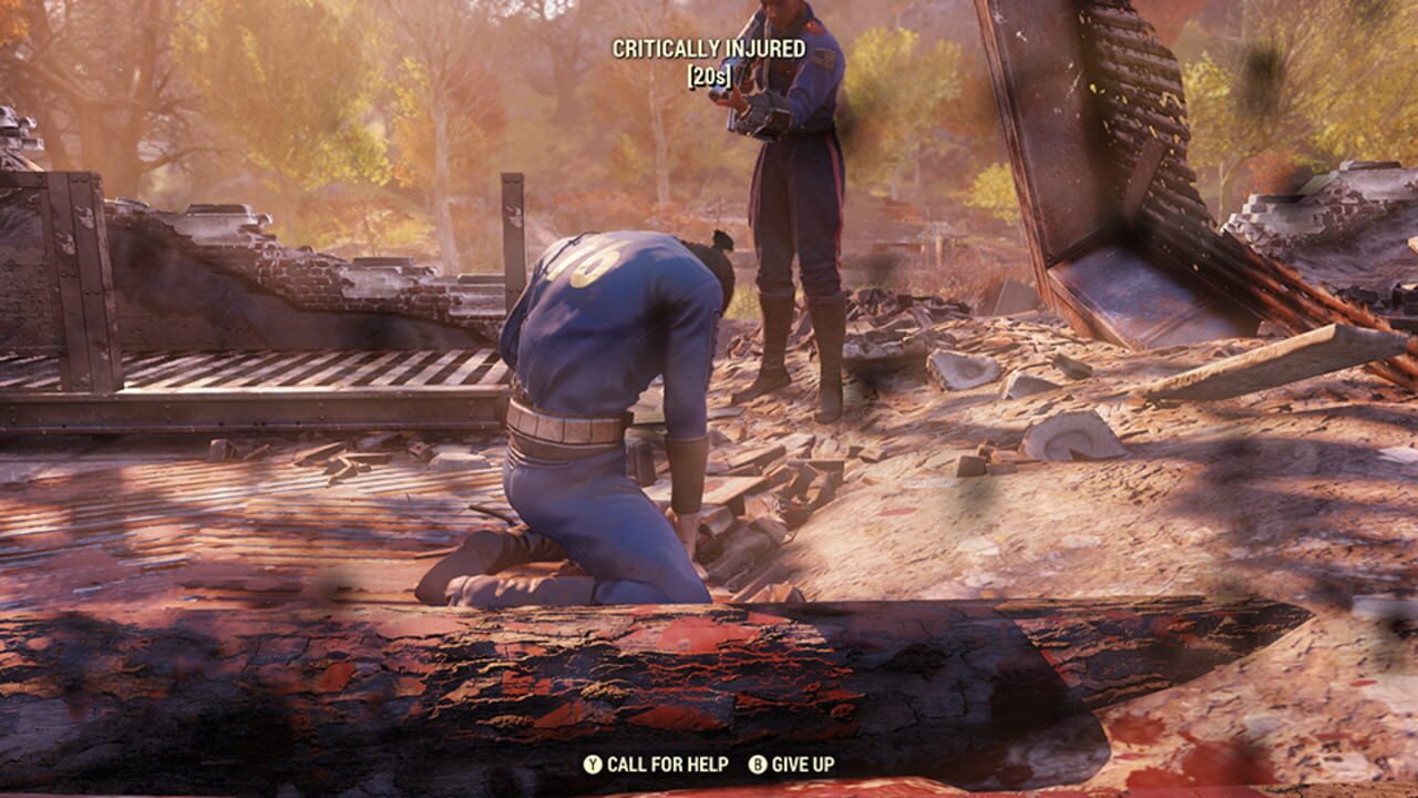 Capture de Fallout 76