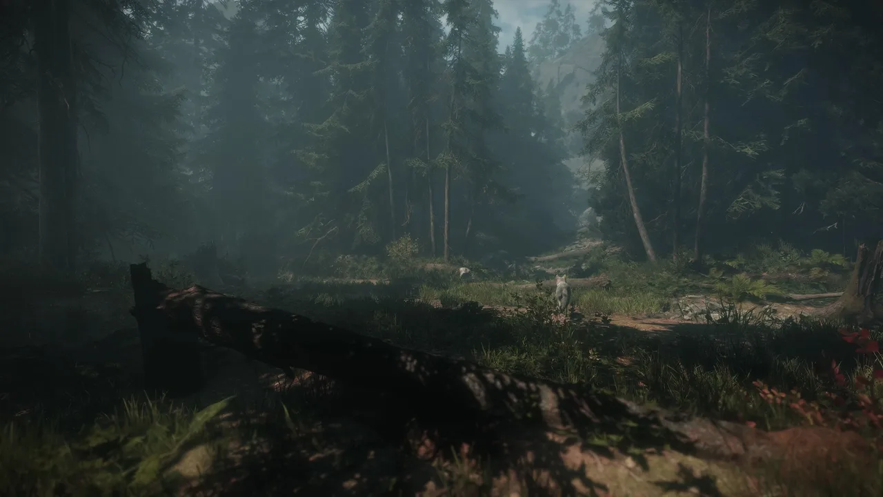 Maid of Sker screenshot 1