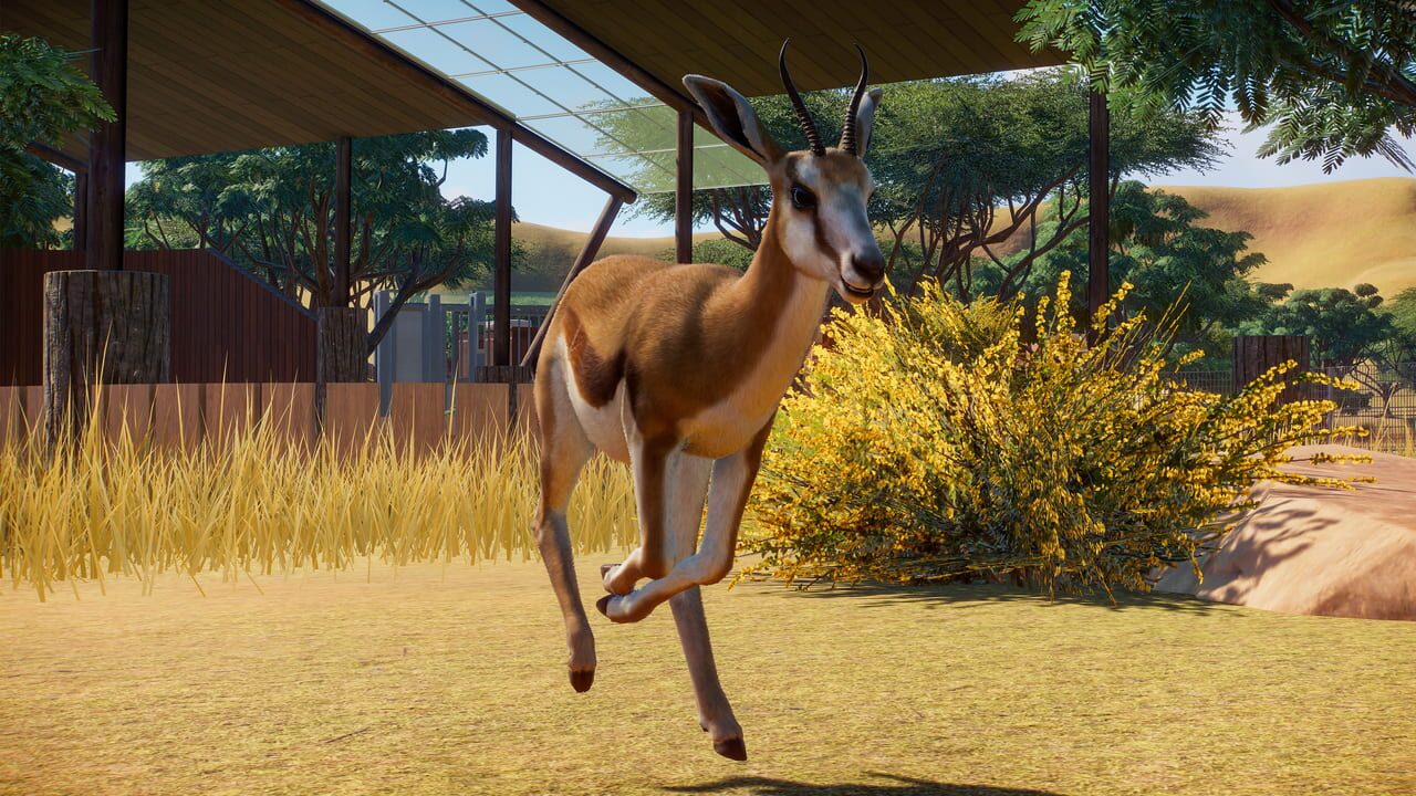 Review: Planet Zoo – Destructoid