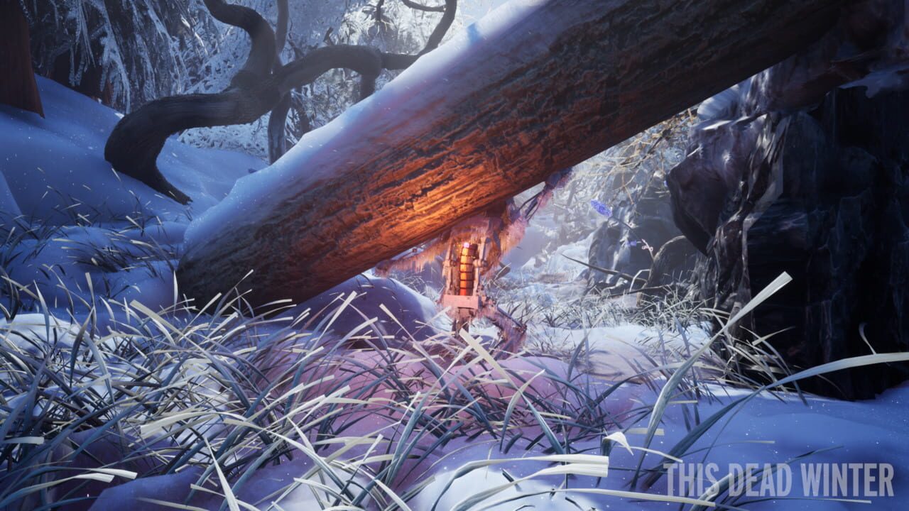 This Dead Winter
