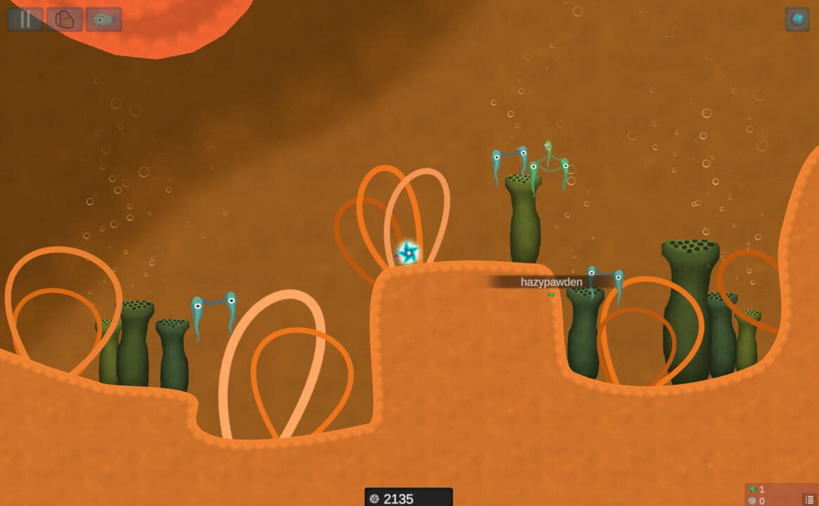 Asteroidea screenshot