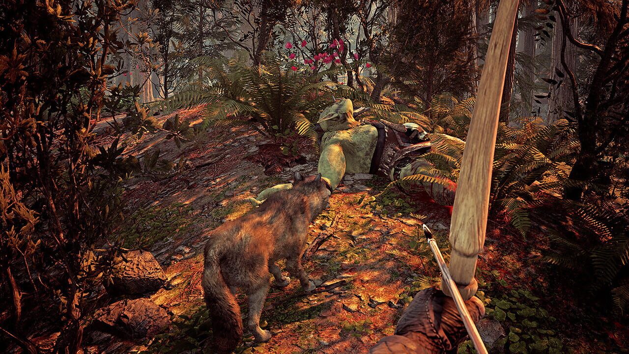 Johan: The Archer & The Witch
