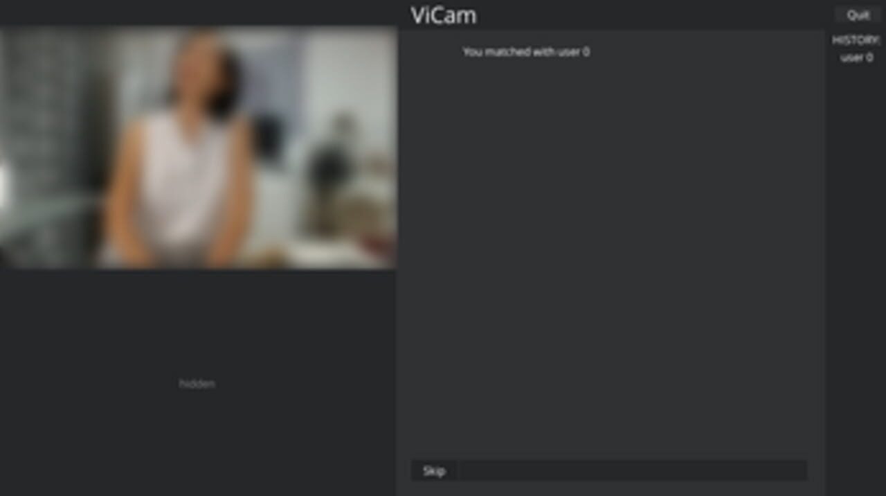 ViCam (2020)