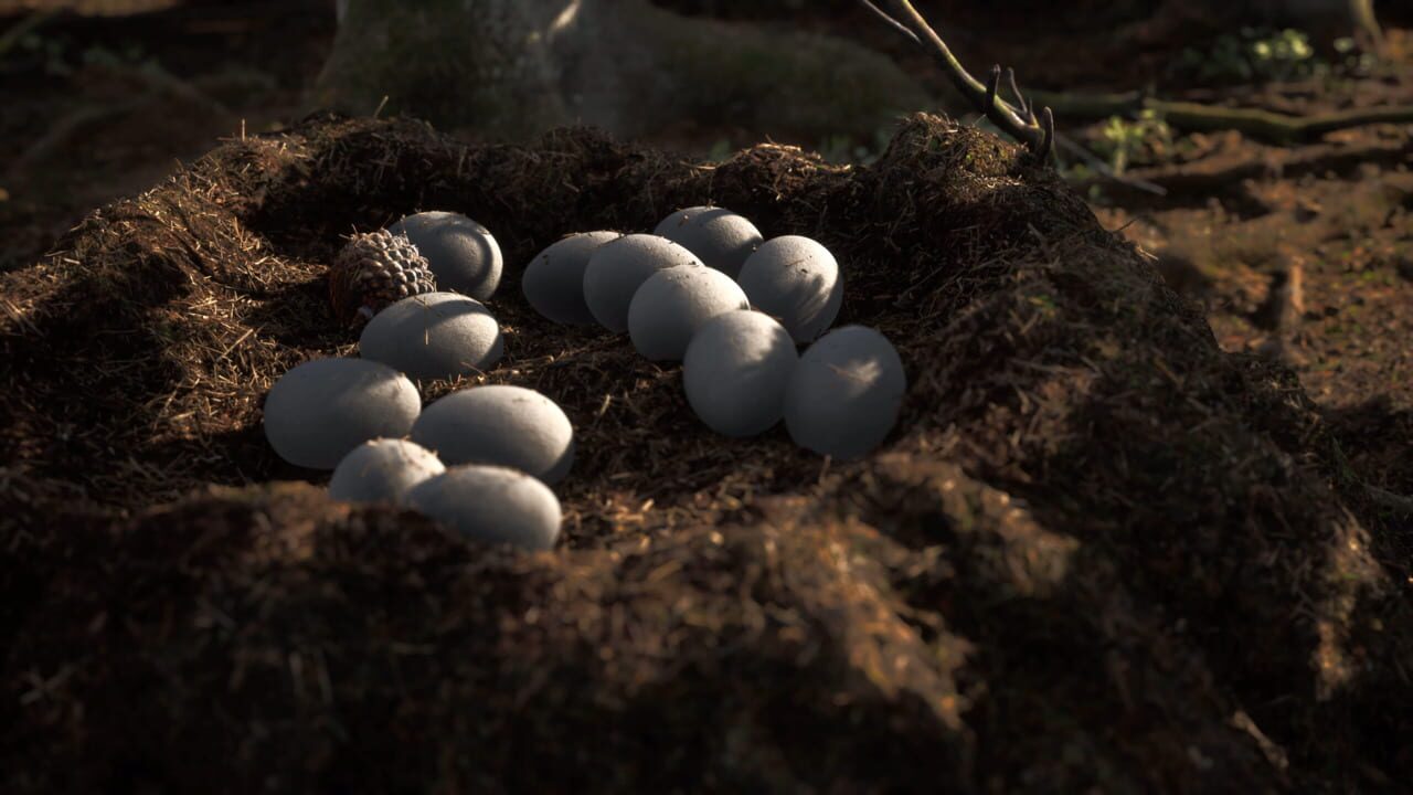 Capture de Instinction