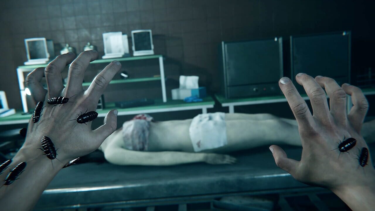 Capture de Autopsy Simulator