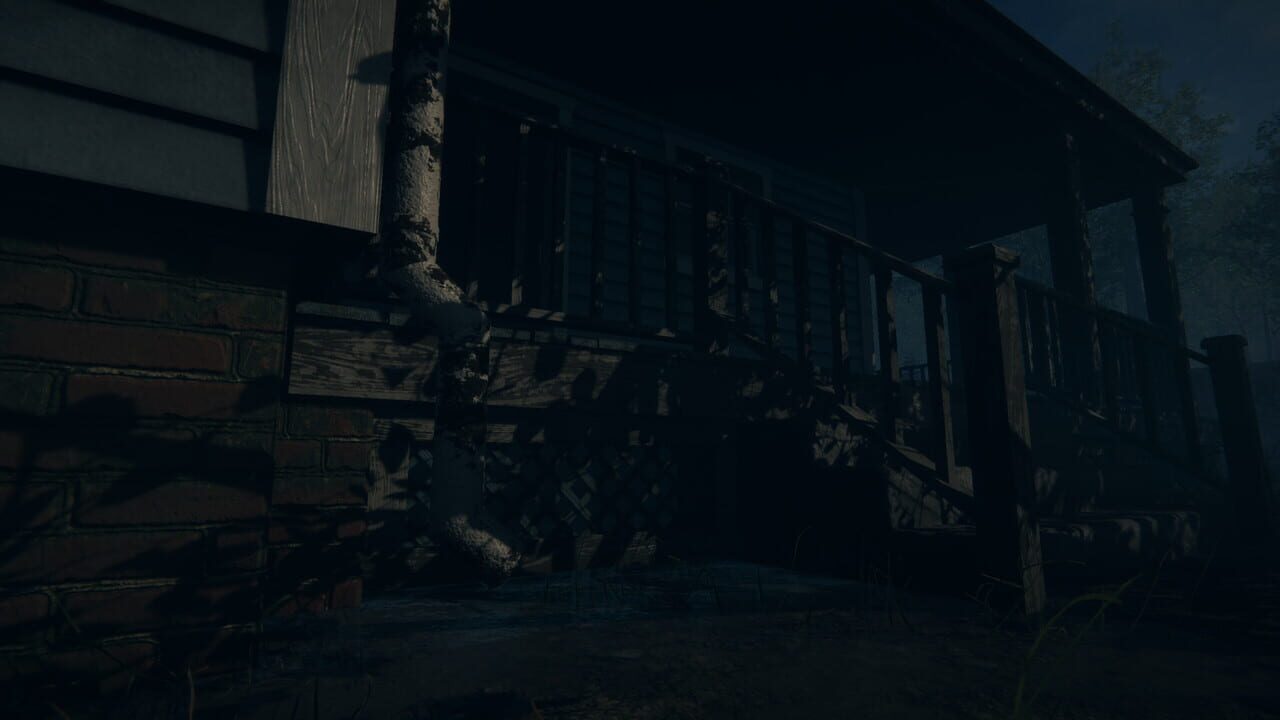 Afraid of the Night