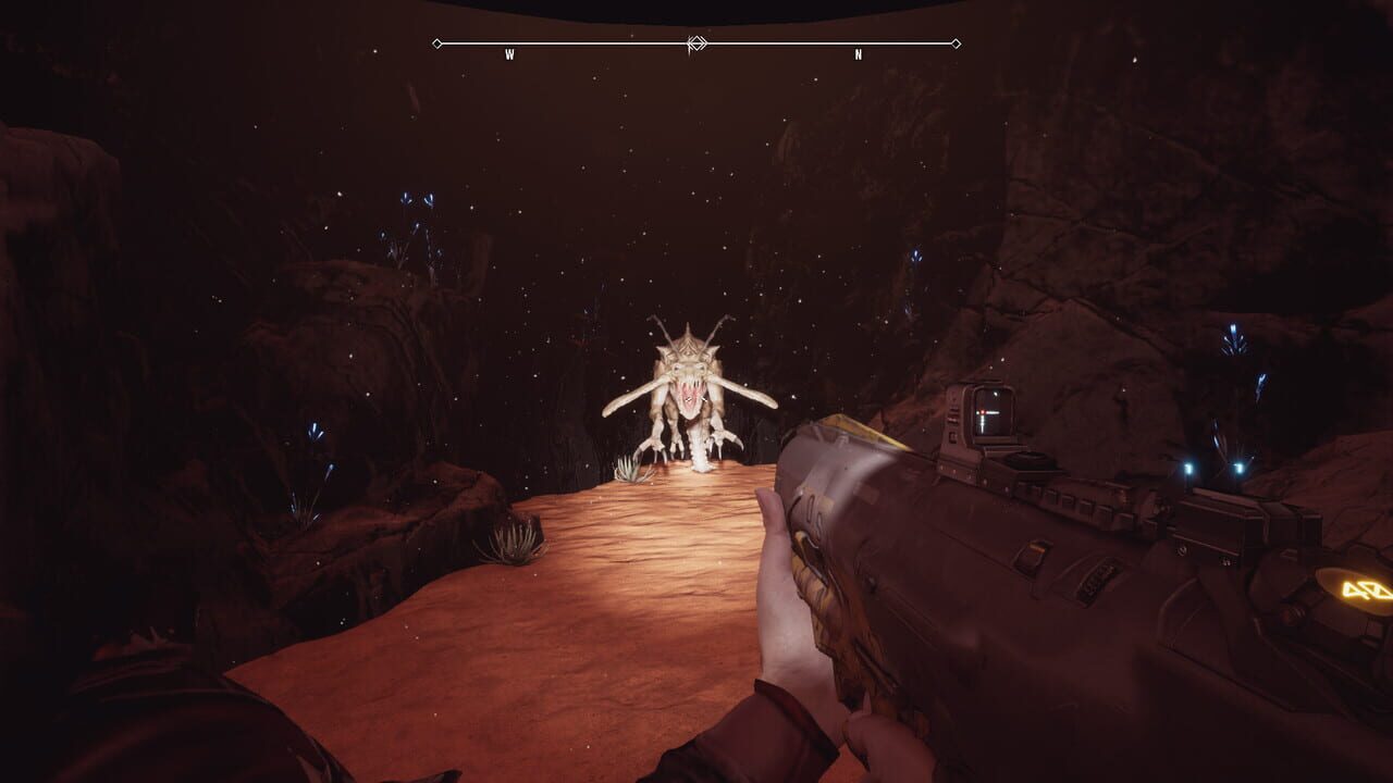 Vidora's Silence