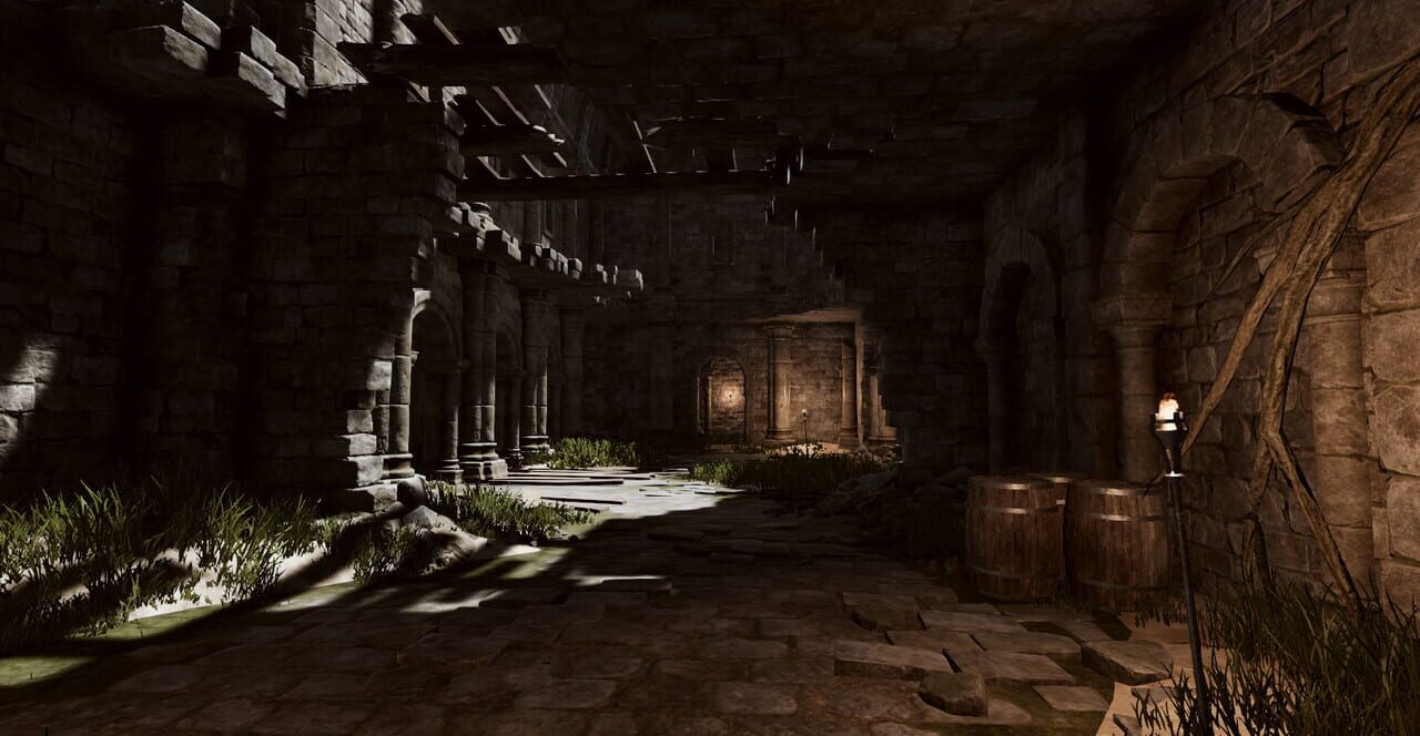 The Exclusion Zone Online