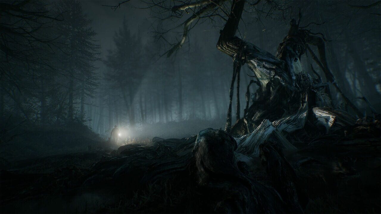 Blair Witch: Deluxe Edition screenshot