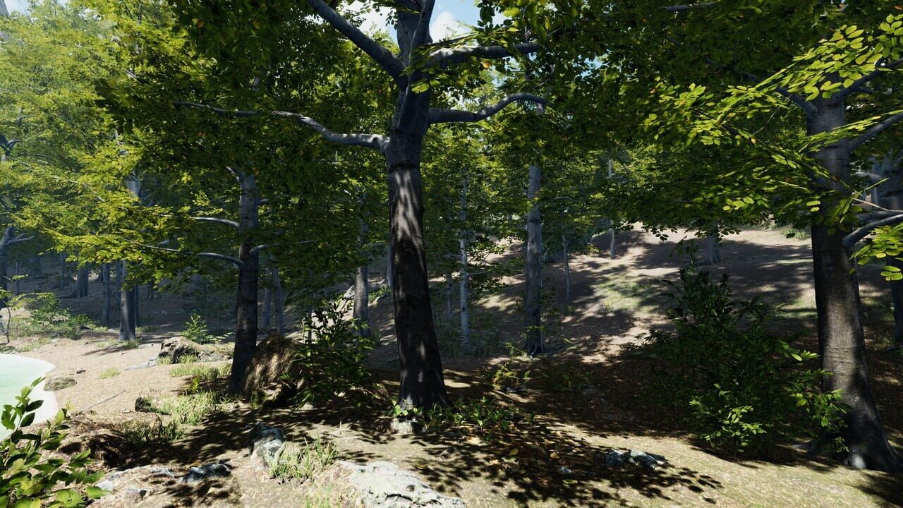 Secrets of a Campfire