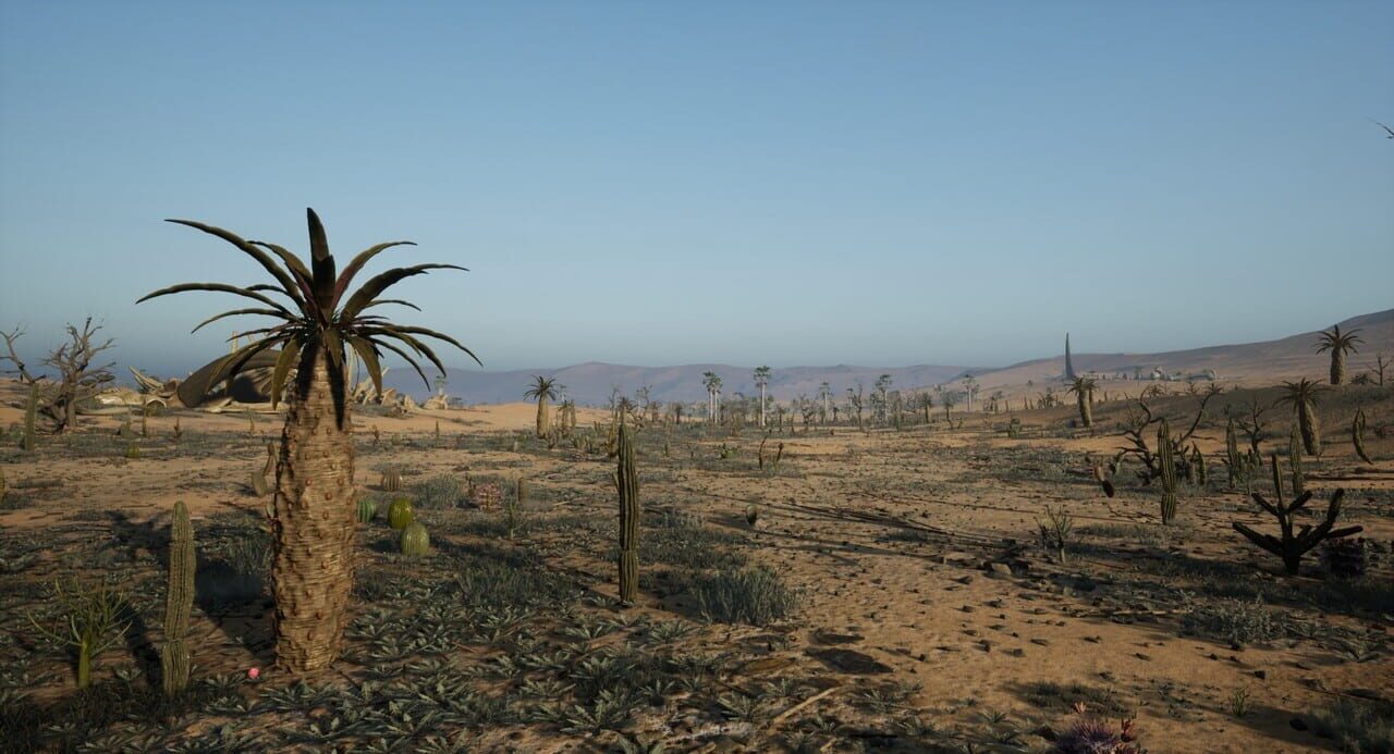Hope Land