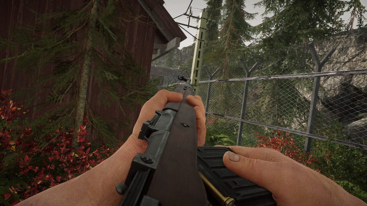 Capture de Projekt Z