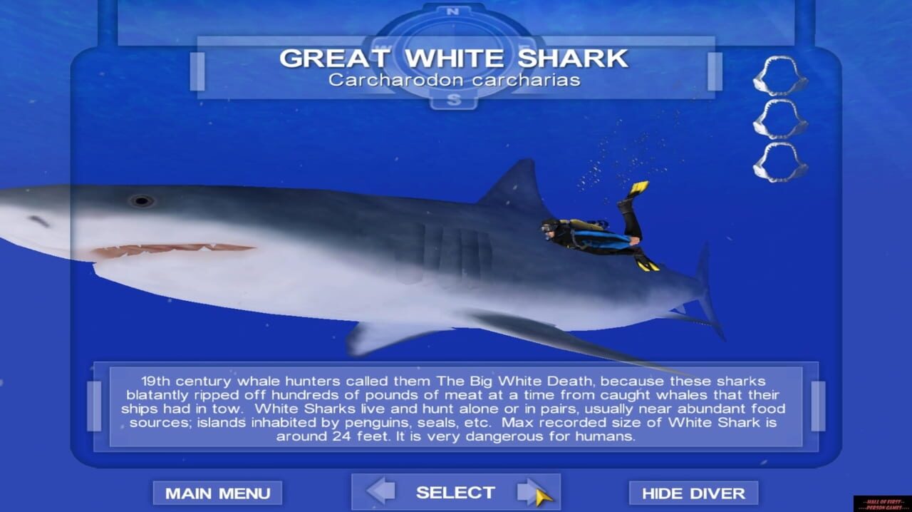 Shark! Hunting the Great White Download (2001 Sports Game)