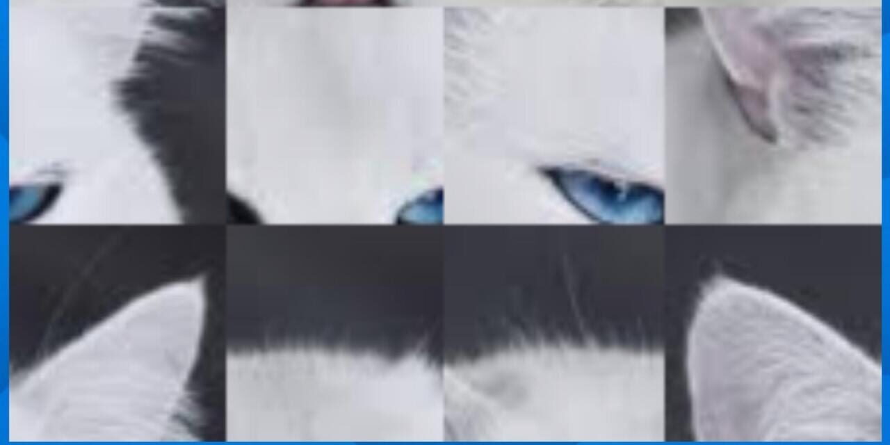 Meong Puzzel screenshot