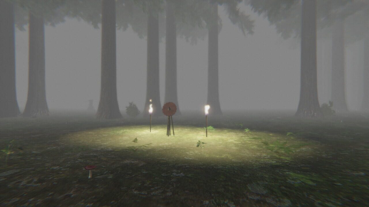 Trapped in the Forest