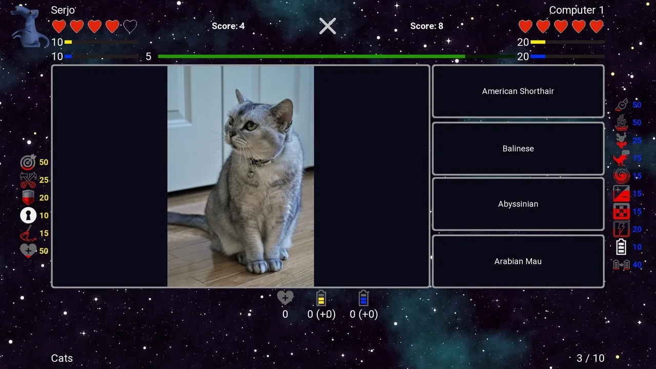 I've Seen Everything: Cats