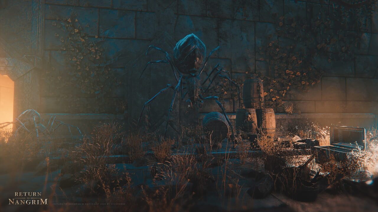 Capture de Return to Nangrim