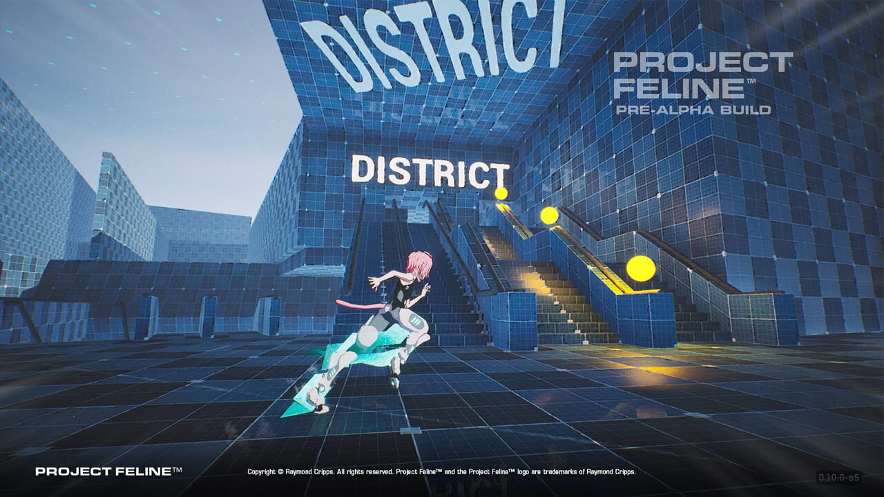 Project Feline