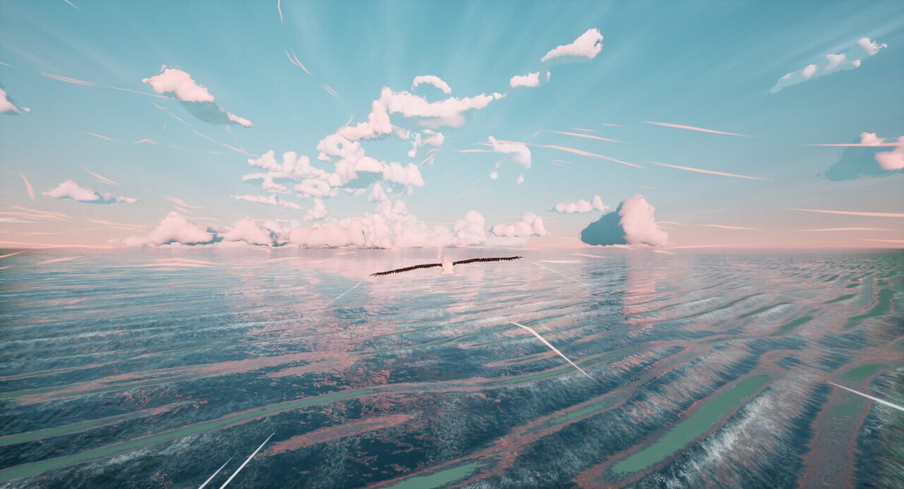 Toroa: Skycall screenshot