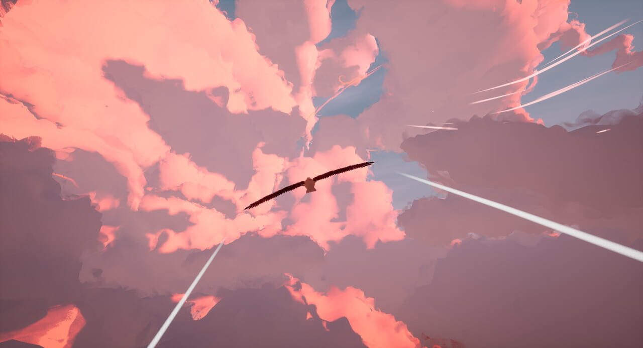 Toroa: Skycall screenshot