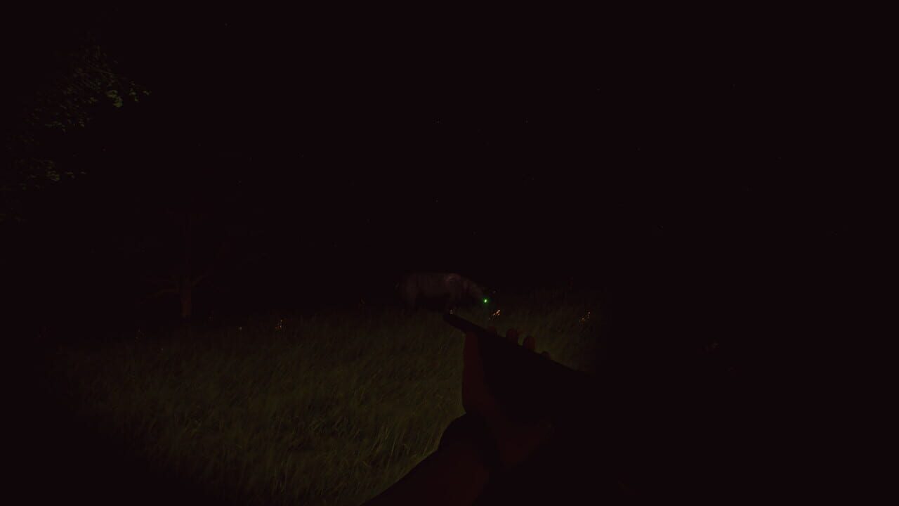 Bolu
