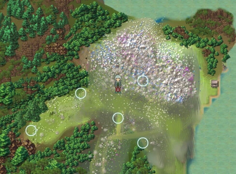 Kyua