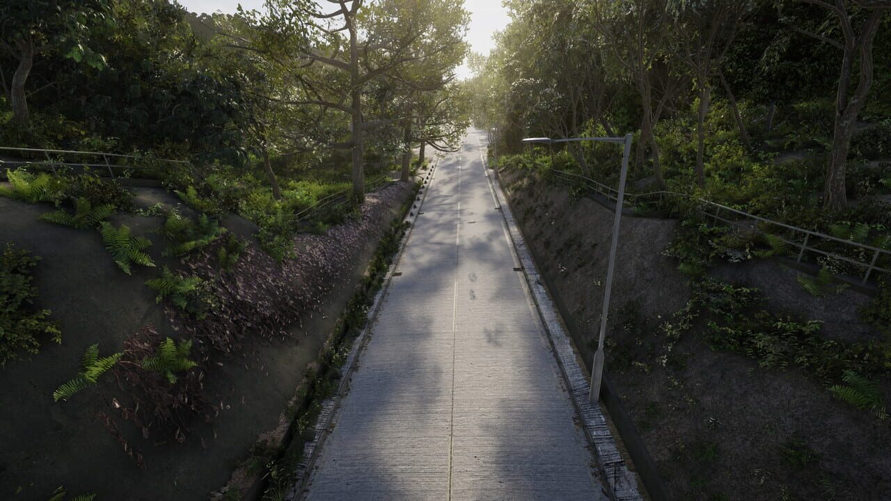 Capture de Rev to Vertex