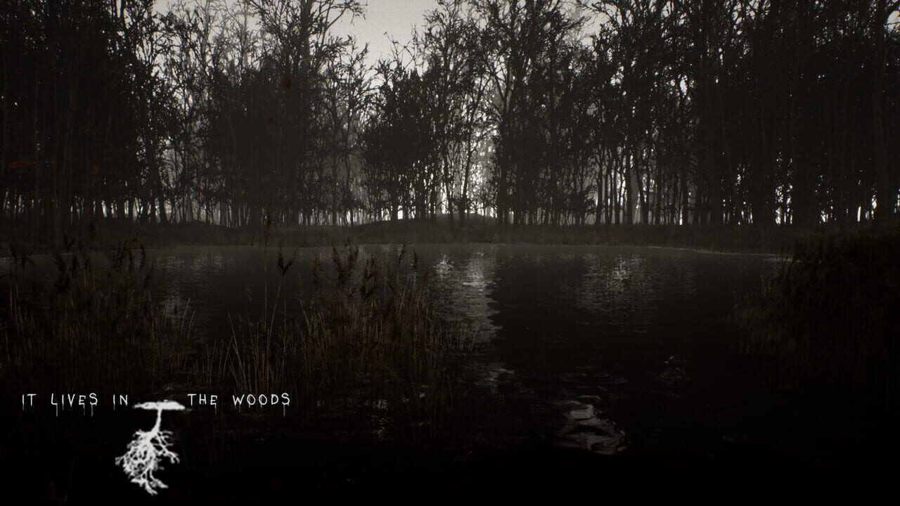 It Lives in the Woods screenshot