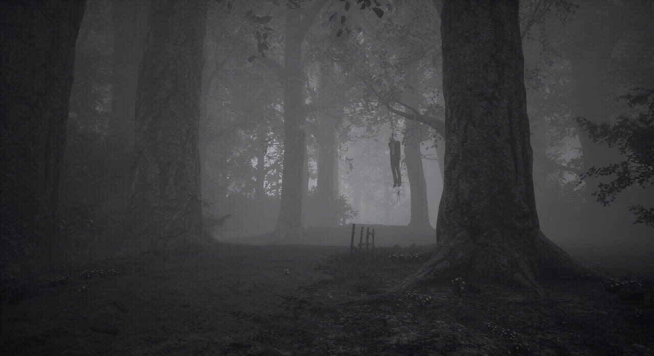 Imago: Beyond the Nightmares
