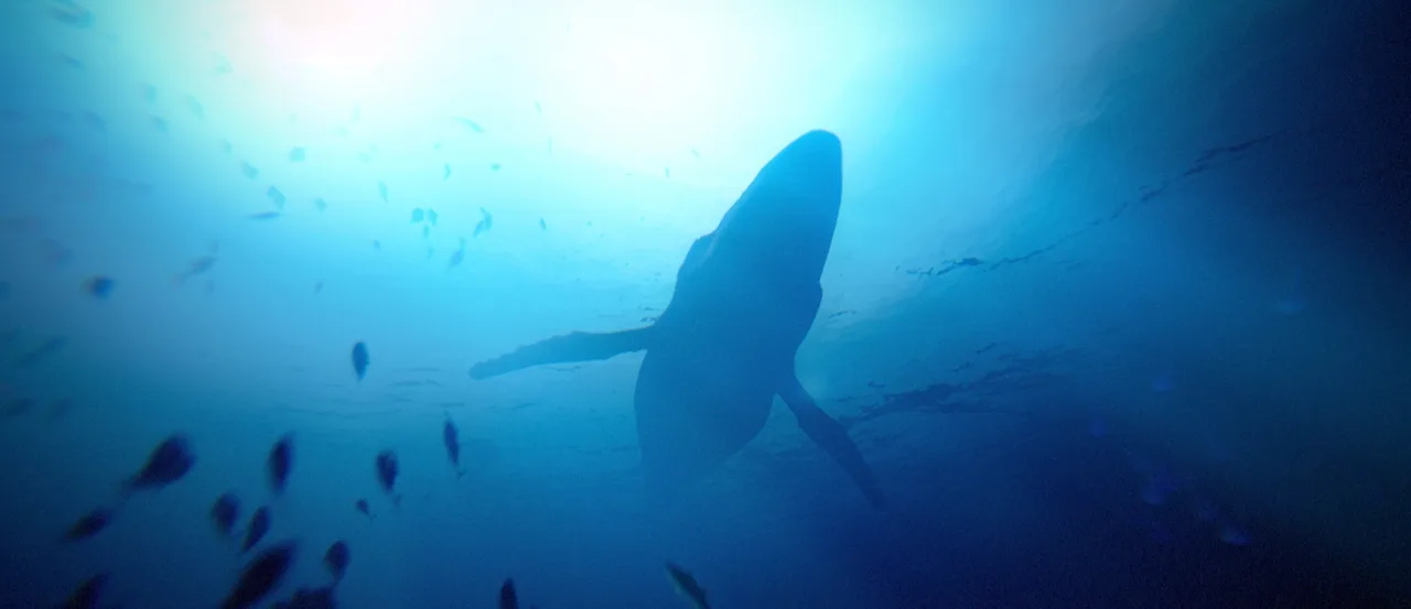 Under the Waves screenshot 1