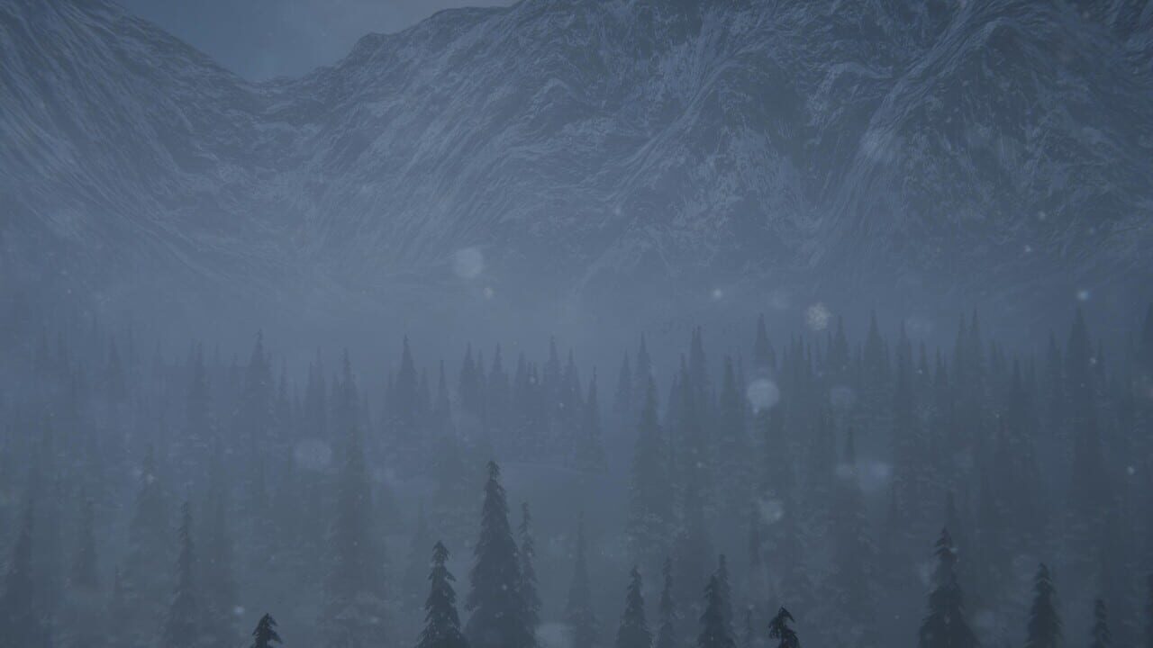 Mystery Trails