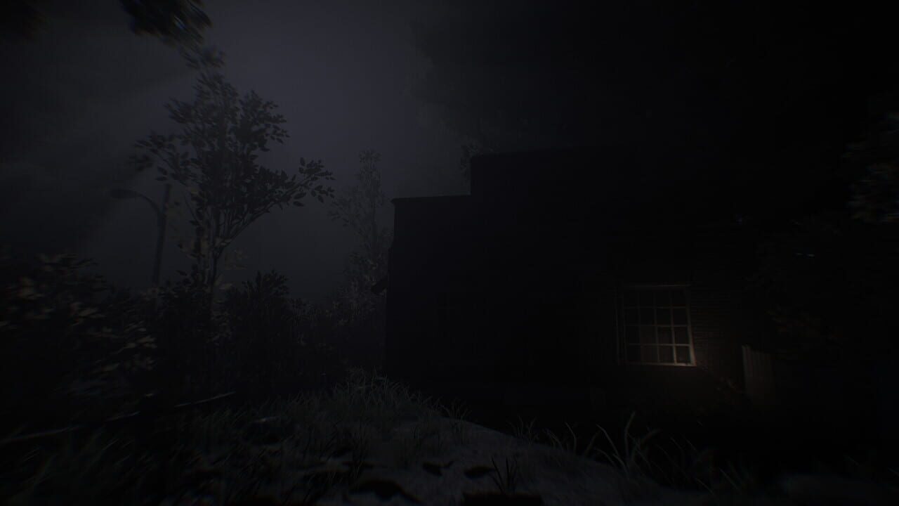 The Bakerville Case