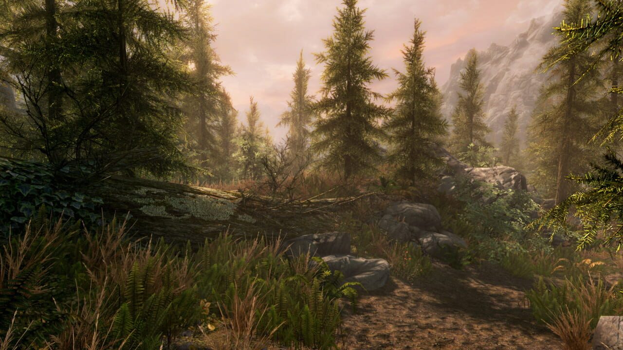 The Elder Scrolls V: Skyrim - Anniversary Edition screenshot