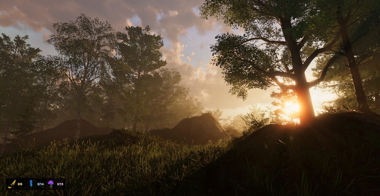 Wild Isles
