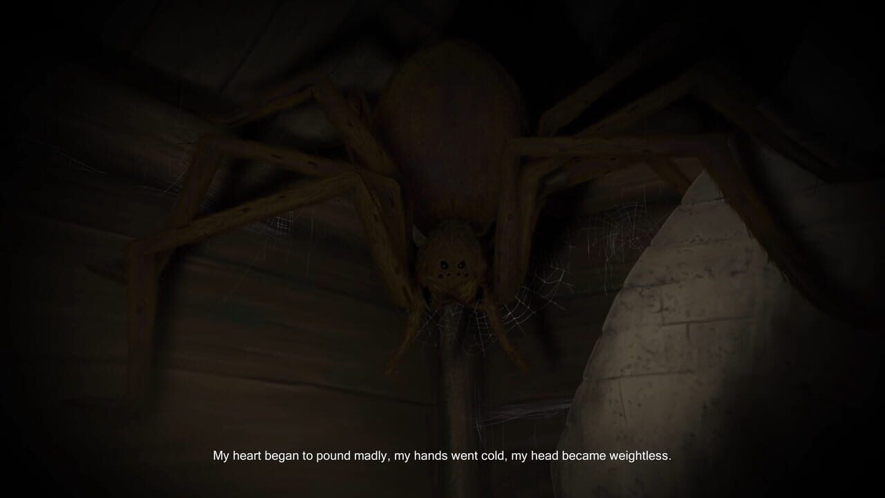 Evard the Hermit: Through Fears screenshot