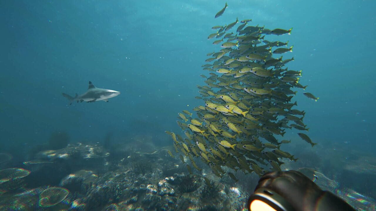 Capture de Death in the Water 2