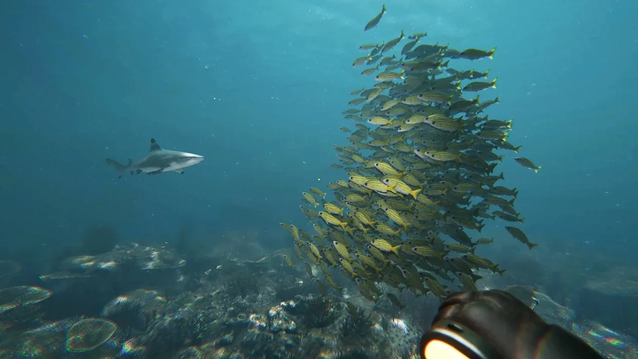 Death in the Water 2 free download for PC screenshot 1