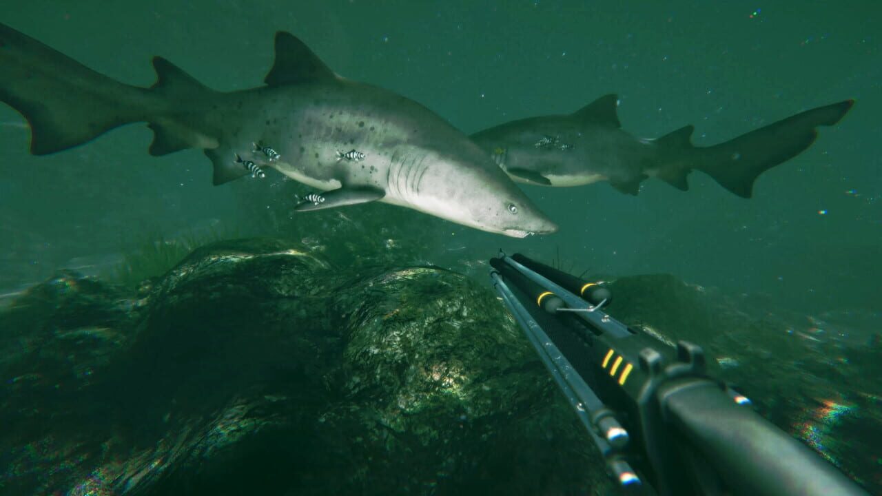 Capture de Death in the Water 2