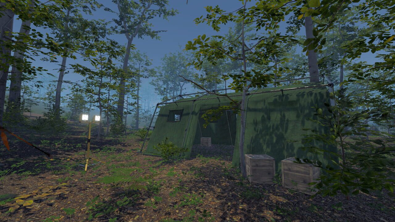 Odd Woods