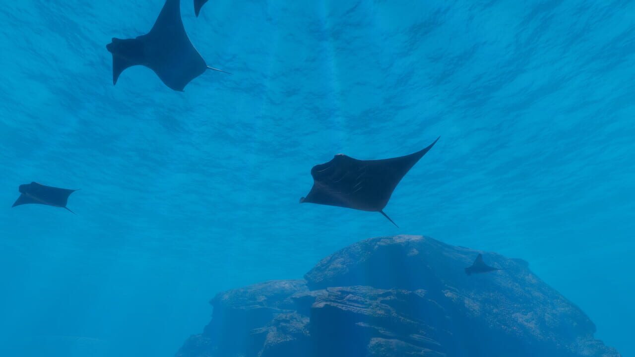 Sonorous: Deep Down Below